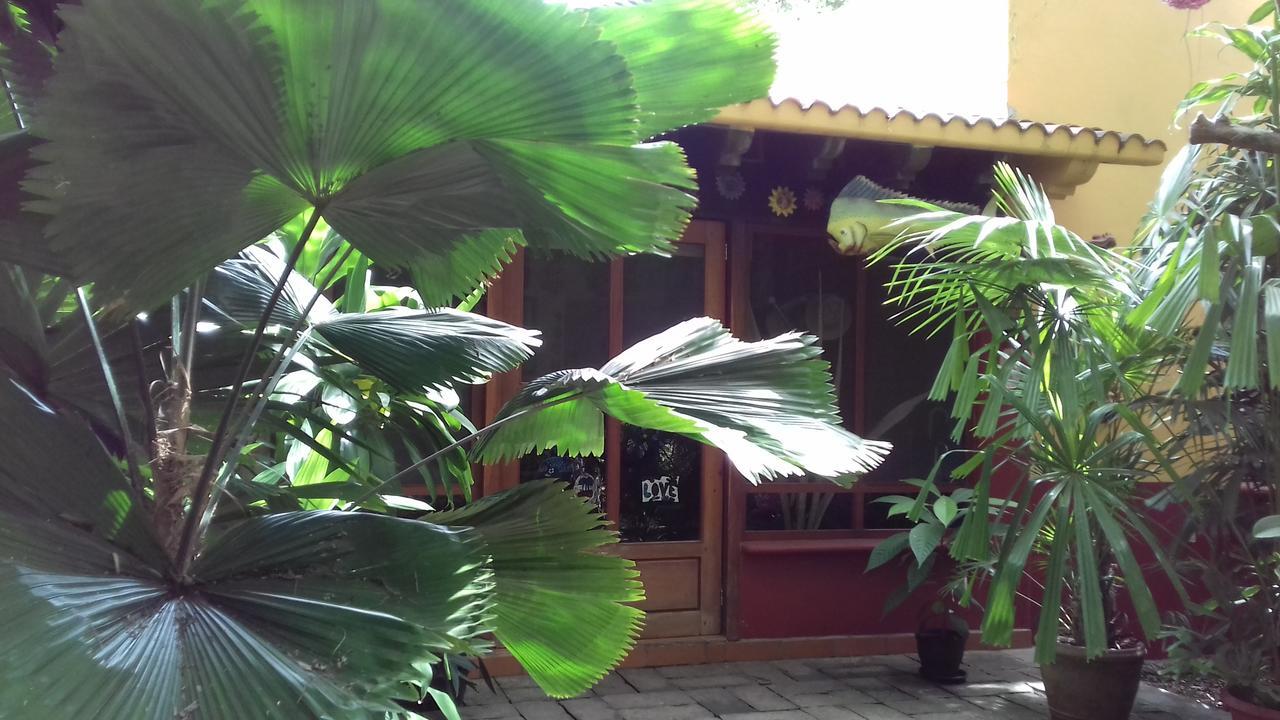 Bed and Breakfast Casa Kin33 Cancún Exterior foto